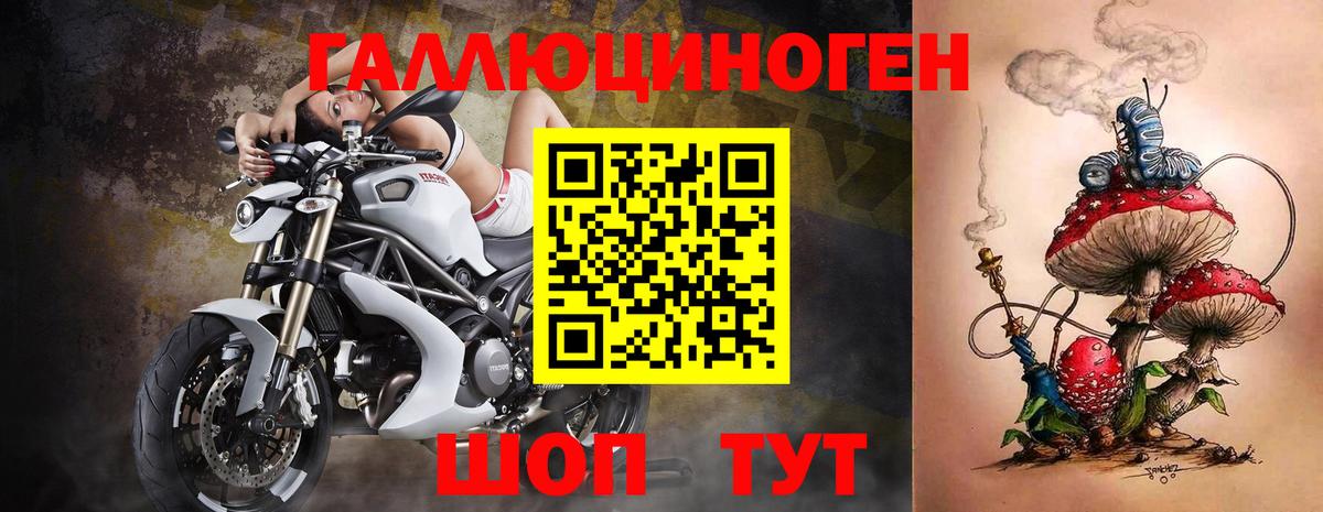 Курганинск  Галлюциногенные грибы Psilocybine cubensis  Вход с VPN 